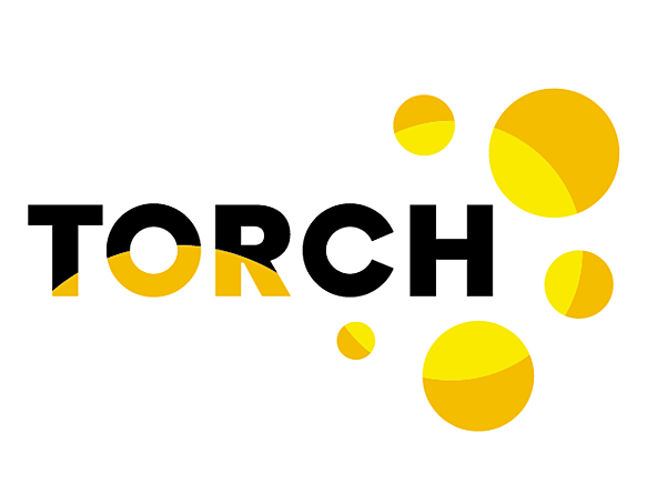 TORCH logo Data Lab_crop